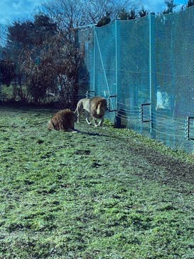 岩手サファリパークに投稿された画像（2023/1/9）