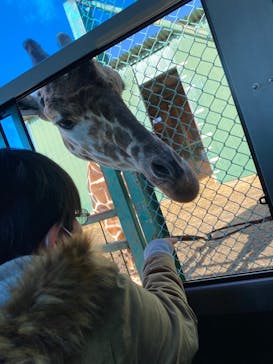 岩手サファリパークに投稿された画像（2023/1/9）