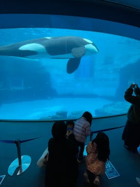 名古屋港水族館に投稿された画像（2023/1/9）