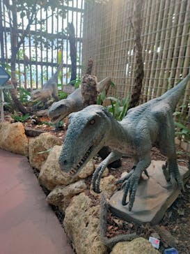 ナゴパイナップルパークに投稿された画像（2023/1/10）