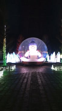 神戸イルミナージュに投稿された画像（2023/1/10）