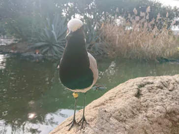 神戸どうぶつ王国に投稿された画像（2023/1/10）