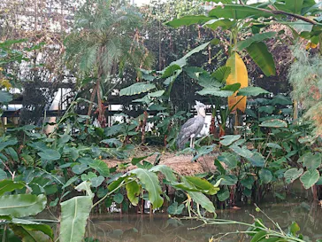 神戸どうぶつ王国に投稿された画像（2023/1/10）