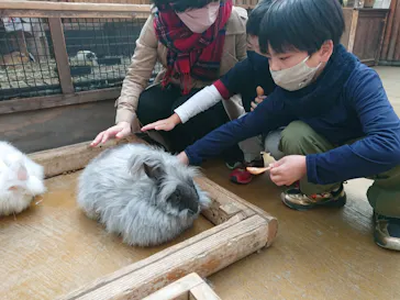 神戸どうぶつ王国に投稿された画像（2023/1/10）