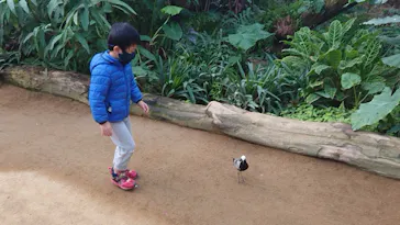 神戸どうぶつ王国に投稿された画像（2023/1/10）