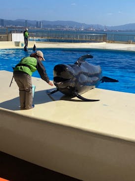 マリンワールド海の中道に投稿された画像（2023/1/10）