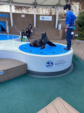 サンシャイン水族館に投稿された画像（2023/1/10）