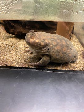 サンシャイン水族館に投稿された画像（2023/1/10）