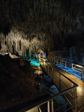 おきなわワールドに投稿された画像（2023/1/10）