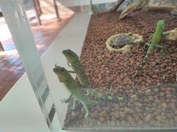 おきなわワールドに投稿された画像（2023/1/10）