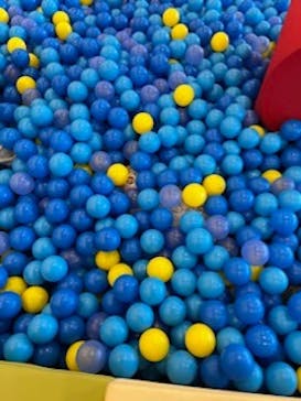 ASOBIG（あそびっぐ）に投稿された画像（2023/1/10）