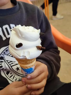 ブラジリアンパーク鷲羽山ハイランドに投稿された画像（2023/1/10）