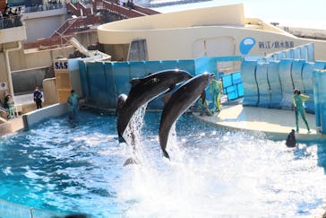 新江ノ島水族館に投稿された画像（2023/1/10）