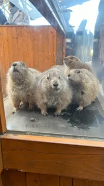 横浜・八景島シーパラダイスに投稿された画像（2023/1/10）