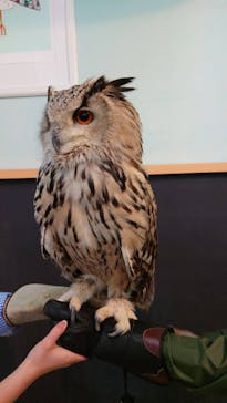 Moff animal cafe iias つくば店に投稿された画像（2023/1/10）