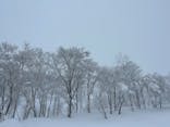 スキージャム勝山に投稿された画像（2023/1/10）