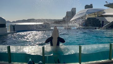 鴨川シーワールドに投稿された画像（2023/1/10）