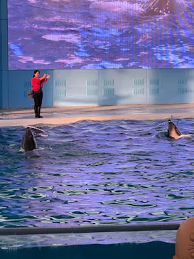 横浜・八景島シーパラダイスに投稿された画像（2023/1/10）