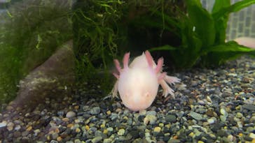 熱川バナナワニ園に投稿された画像（2023/1/10）