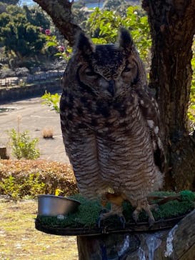 伊豆アニマルキングダムに投稿された画像（2023/1/10）