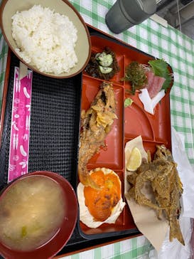 沖縄海うさぎ・海あしびに投稿された画像（2023/1/10）