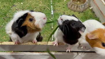 アニタッチみなとみらいに投稿された画像（2023/1/10）