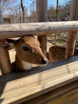東武動物公園に投稿された画像（2023/1/10）