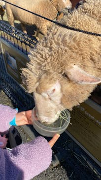 東武動物公園に投稿された画像（2023/1/10）