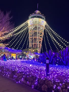 江の島シーキャンドルに投稿された画像（2023/1/10）