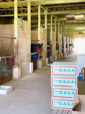 マザー牧場に投稿された画像（2023/1/10）