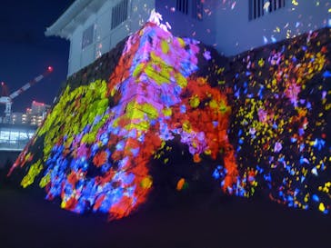 福山城400年博-FUKUYAMA CASTLE EXPO 2022- RCC開局70年 「チームラボ 福山城 光の祭」に投稿された画像（2023/1/10）