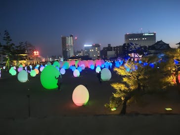 福山城400年博-FUKUYAMA CASTLE EXPO 2022- RCC開局70年 「チームラボ 福山城 光の祭」に投稿された画像（2023/1/10）
