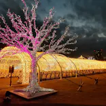 東京メガイルミに投稿された画像（2023/1/10）