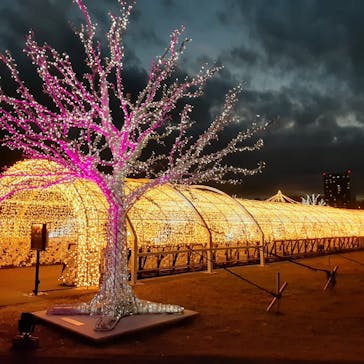 東京メガイルミに投稿された画像（2023/1/10）