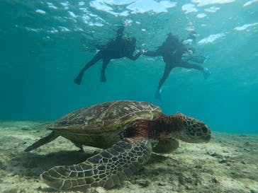 宮古島 ADVENTURE PiPi（ミヤコジマ アドベンチャー ピピ）に投稿された画像（2023/1/10）