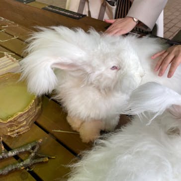 那須どうぶつ王国に投稿された画像（2023/1/10）