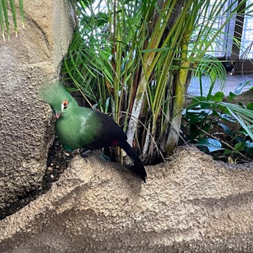 那須どうぶつ王国に投稿された画像（2023/1/10）