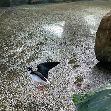 那須どうぶつ王国に投稿された画像（2023/1/10）