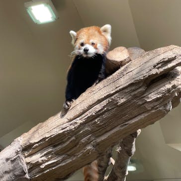 那須どうぶつ王国に投稿された画像（2023/1/10）