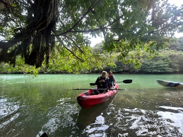 沖縄海うさぎ・海あしびに投稿された画像（2023/1/11）