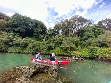 沖縄海うさぎ・海あしびに投稿された画像（2023/1/11）