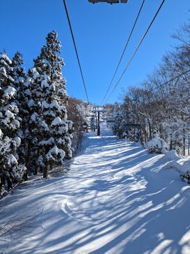スキージャム勝山に投稿された画像（2023/1/11）