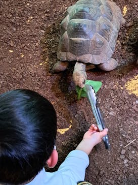 体感型動物園iZooに投稿された画像（2023/1/11）