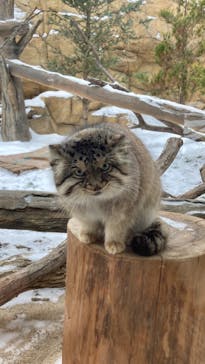 那須どうぶつ王国に投稿された画像（2023/1/11）