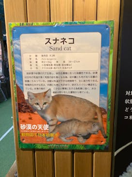 那須どうぶつ王国に投稿された画像（2023/1/11）