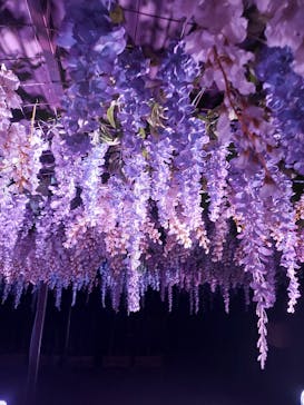 東京メガイルミに投稿された画像（2023/1/11）