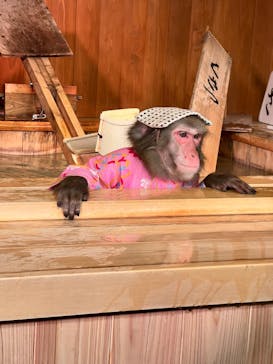 おさるの湯もみ処　おさ湯に投稿された画像（2023/1/11）