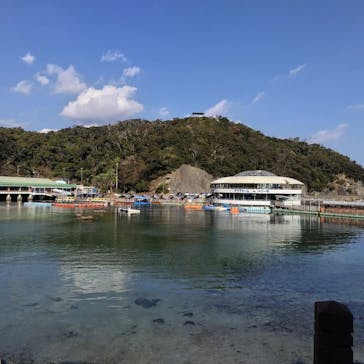 下田海中水族館に投稿された画像（2023/1/11）