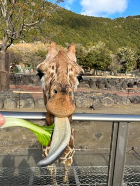 伊豆アニマルキングダムに投稿された画像（2023/1/11）