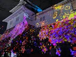 福山城400年博-FUKUYAMA CASTLE EXPO 2022- RCC開局70年 「チームラボ 福山城 光の祭」に投稿された画像（2023/1/11）